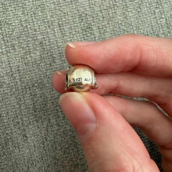 Pandora Silver Princess Charm Bracelet - Picture 4 of 4